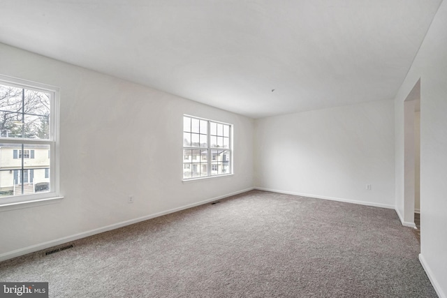 carpeted spare room featuring a wealth of natural light