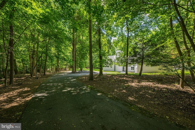 view of yard with driveway