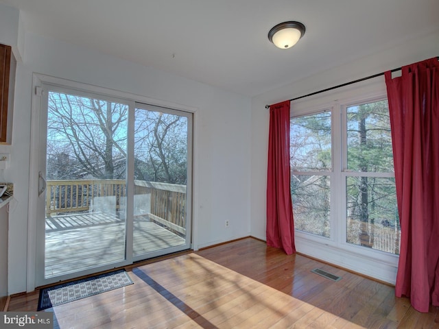 interior space featuring a wealth of natural light and wood-type flooring