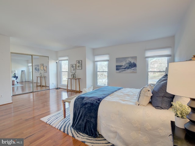 bedroom with multiple windows, light hardwood / wood-style flooring, and a closet