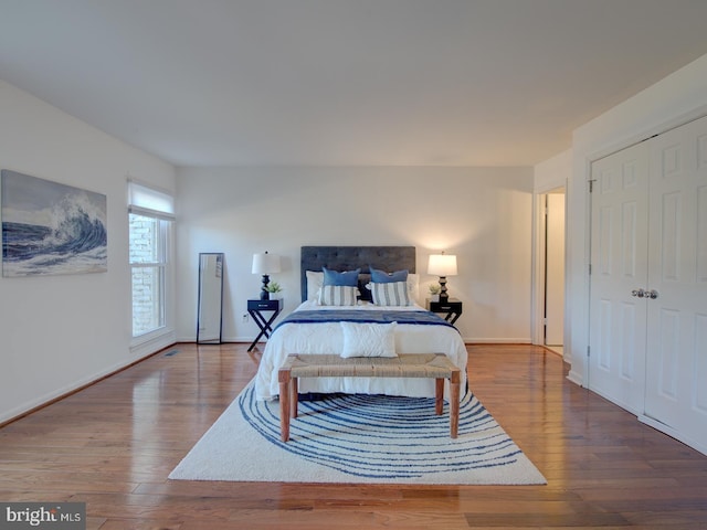 bedroom with a closet and wood-type flooring