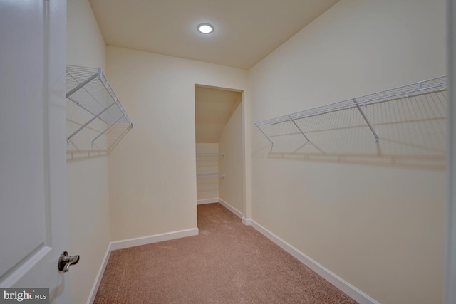 spacious closet with carpet floors