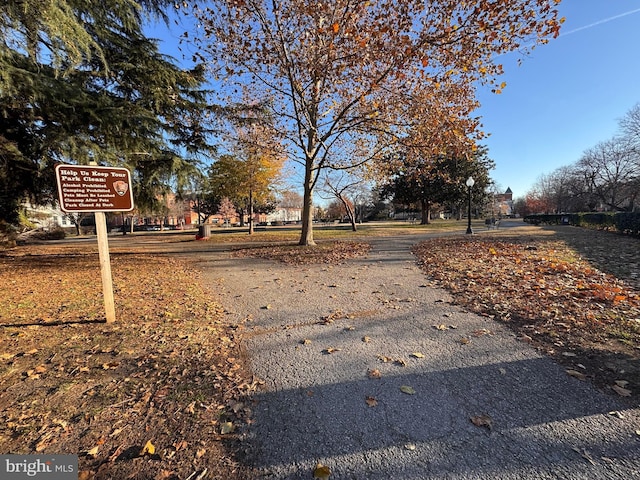 view of road