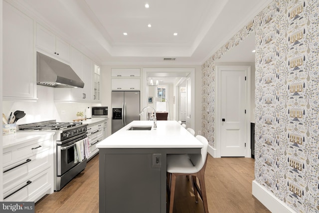 kitchen featuring appliances with stainless steel finishes, a raised ceiling, sink, white cabinets, and an island with sink