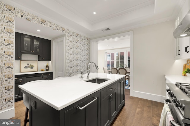 kitchen featuring hardwood / wood-style floors, sink, ornamental molding, an island with sink, and range hood