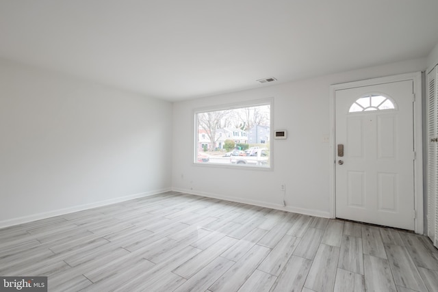 entryway featuring light hardwood / wood-style floors and plenty of natural light