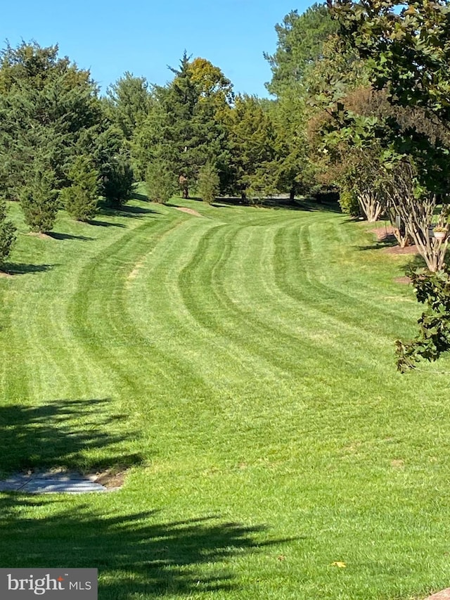 view of property's community featuring a lawn