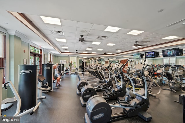 exercise room with ceiling fan, a drop ceiling, and ornamental molding