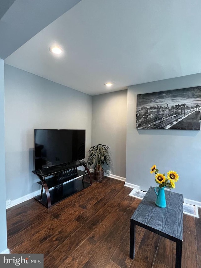 living room featuring dark wood-type flooring