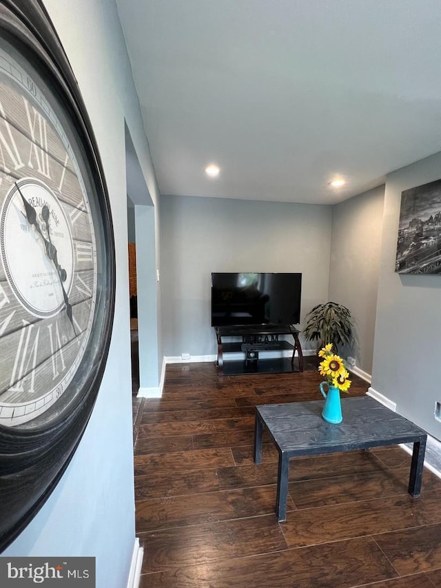 living room featuring wood-type flooring