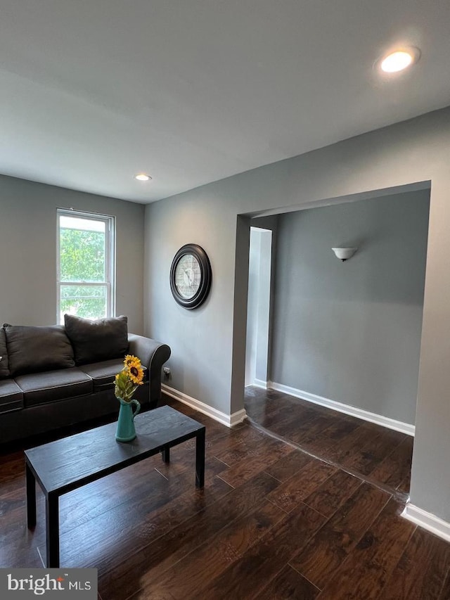 living room with dark hardwood / wood-style flooring