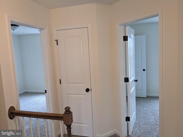 hallway with carpet floors