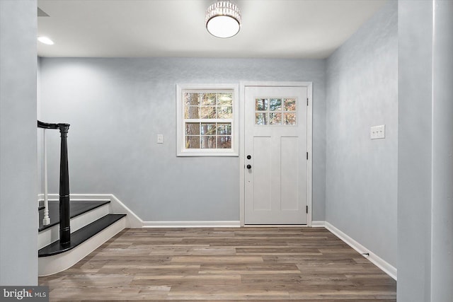 entryway featuring wood-type flooring