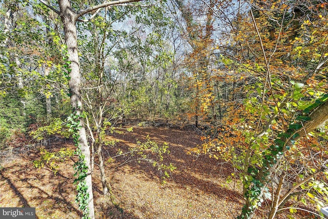 view of landscape