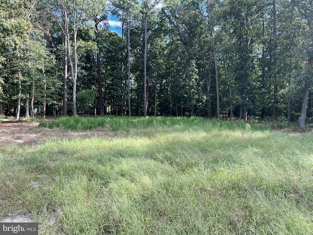 Hershel Davis Rd, Millsboro DE, 19966 land for sale