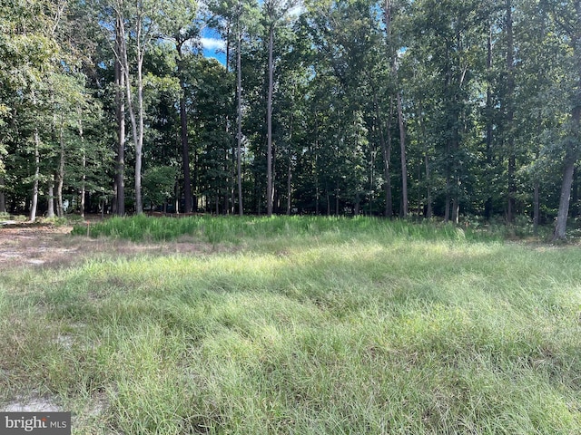 Hershel Davis Rd, Millsboro, DE 19966