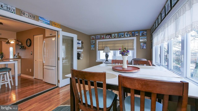 dining room with hardwood / wood-style flooring