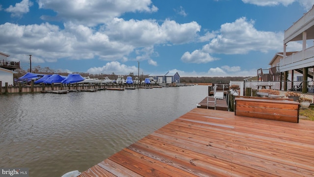 dock area with a water view