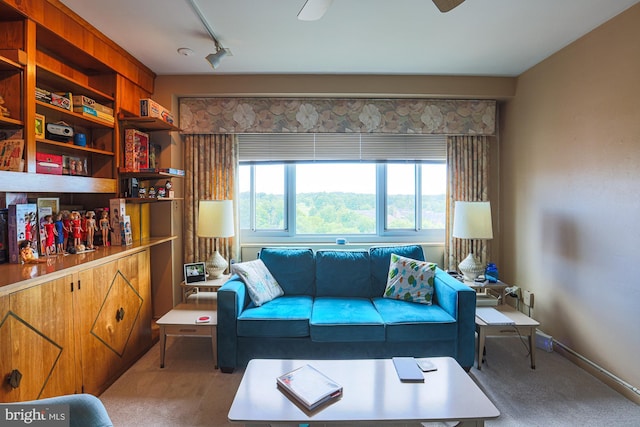 living room featuring light colored carpet and track lighting