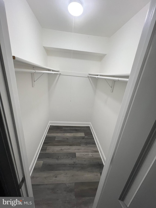 walk in closet with dark hardwood / wood-style floors