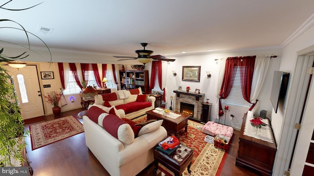 living room featuring a fireplace, crown molding, ceiling fan, and dark wood-type flooring