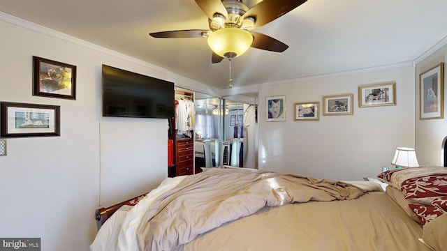 bedroom with ceiling fan and crown molding