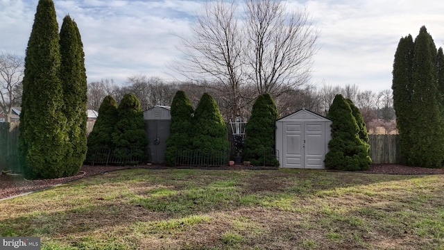 view of yard featuring a storage unit