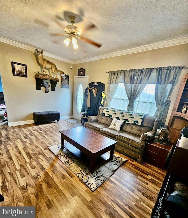 living room with ceiling fan, hardwood / wood-style floors, a textured ceiling, and ornamental molding