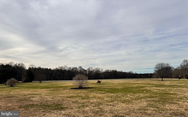 view of yard with a rural view