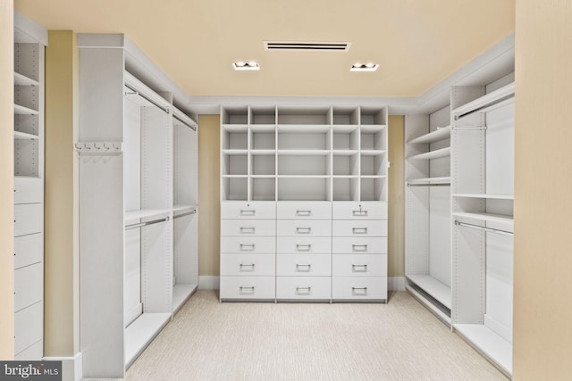 view of spacious closet