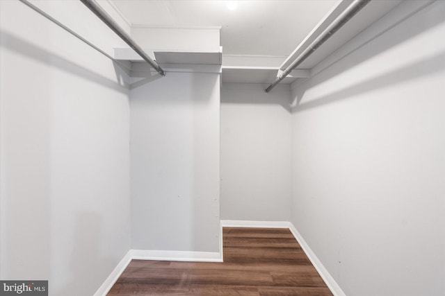 walk in closet featuring dark hardwood / wood-style floors