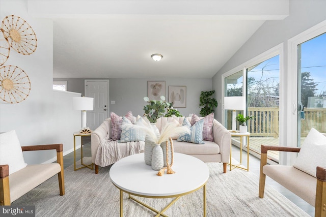 living room featuring lofted ceiling and a baseboard heating unit