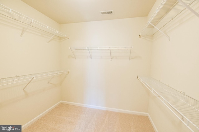 walk in closet featuring carpet floors