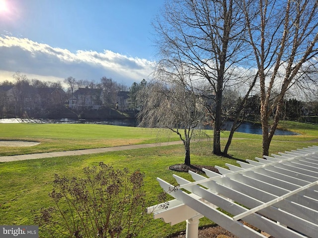 43287 Warwick Hills Ct, Leesburg, VA 20176 - view of community featuring a water view and a yard