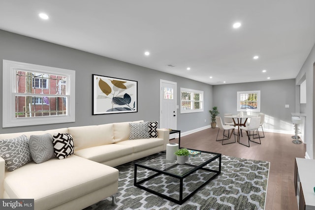 living room with wood-type flooring