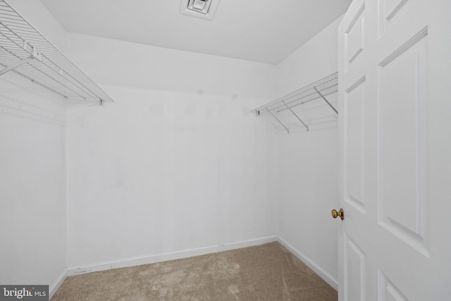 walk in closet with carpet floors