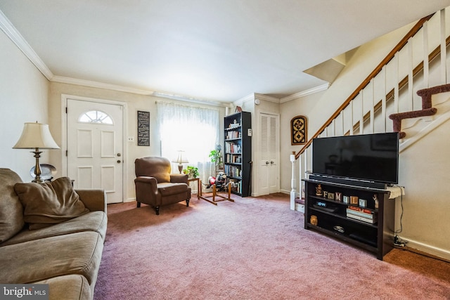 living room with crown molding and carpet