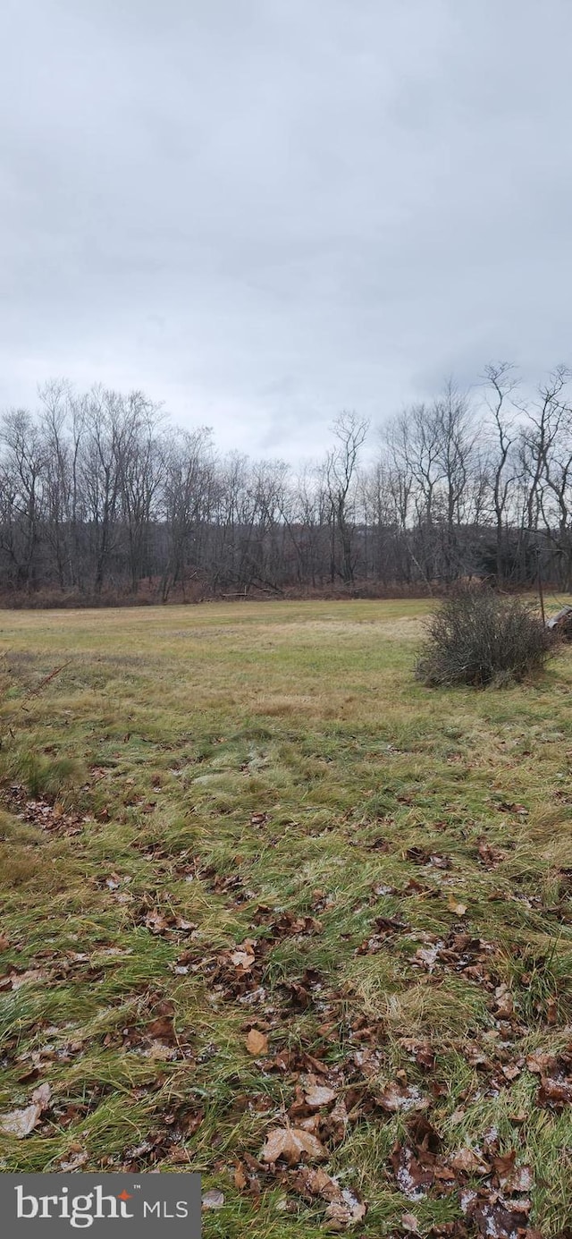 view of yard with a rural view