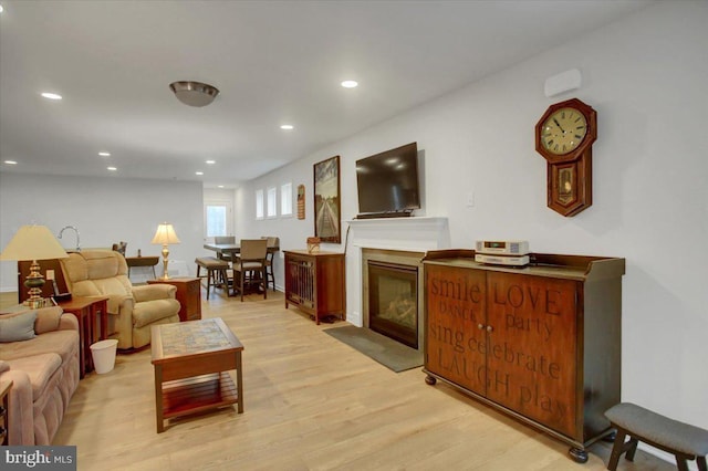 living room featuring light wood-type flooring