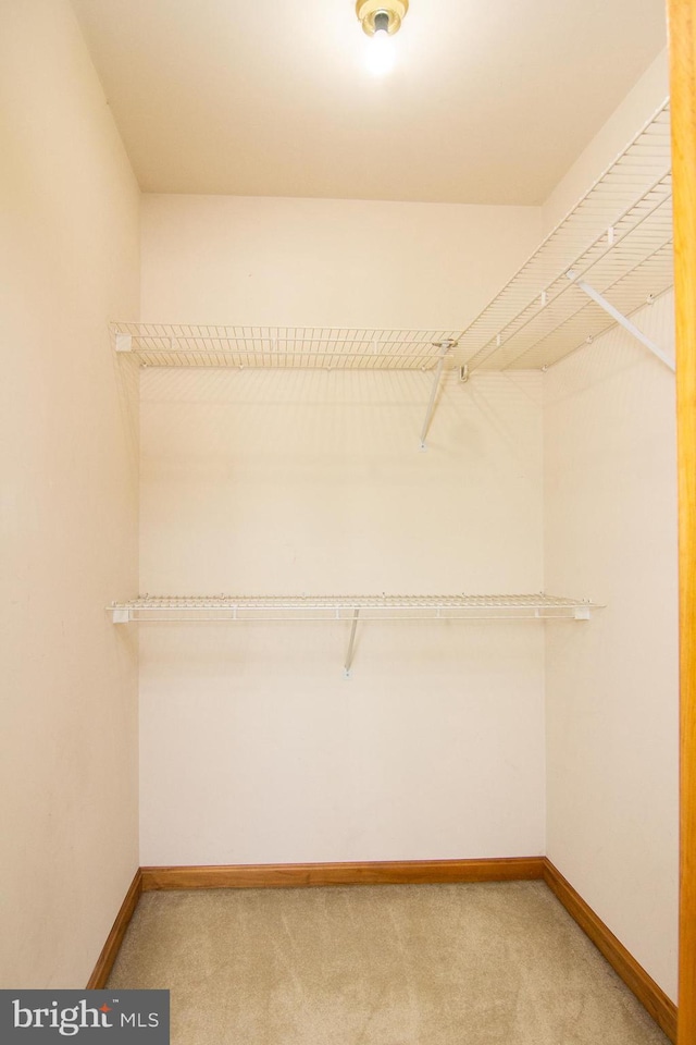 spacious closet featuring light colored carpet