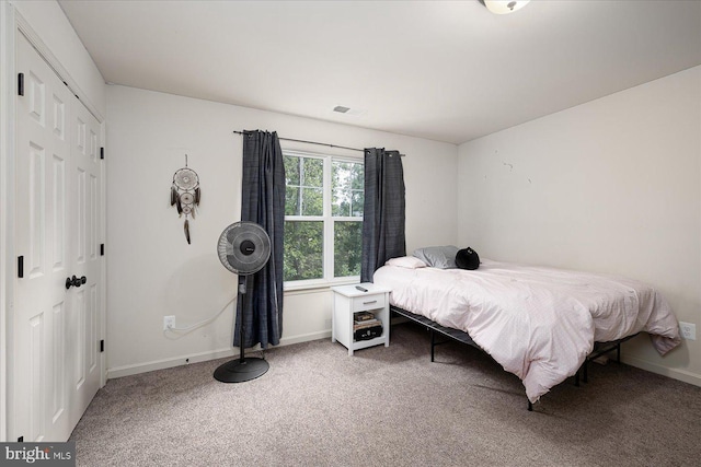 bedroom featuring carpet and a closet