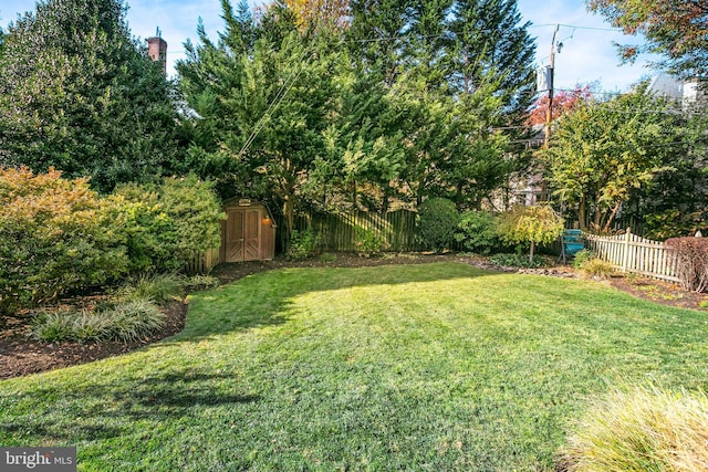 view of yard featuring a shed