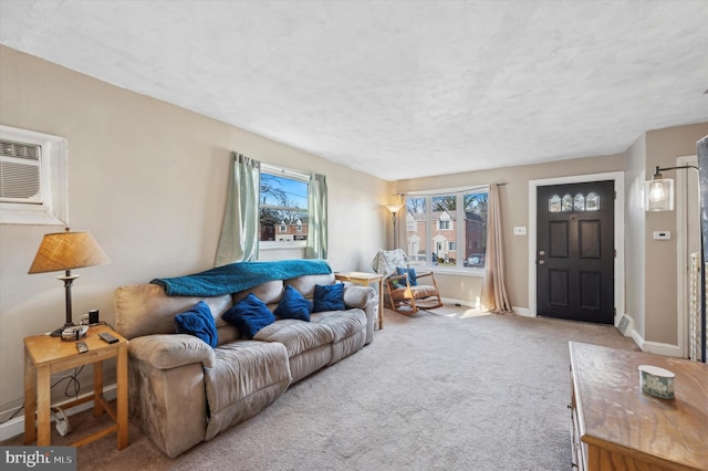 living room with a wall unit AC and carpet floors