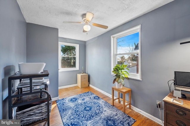 office with ceiling fan, light hardwood / wood-style flooring, a textured ceiling, and plenty of natural light