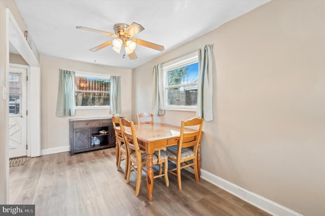 dining area featuring ceiling fan and light hardwood / wood-style flooring