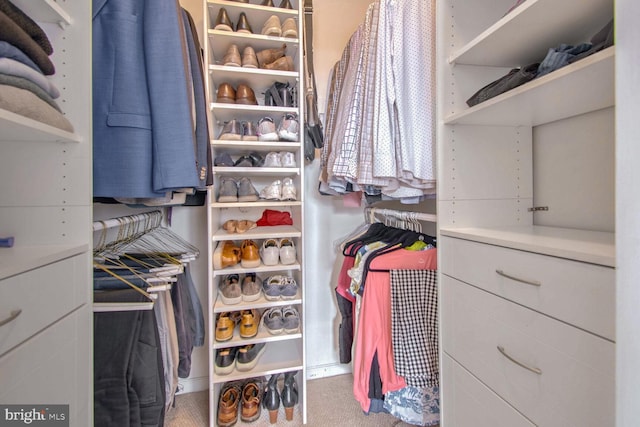 walk in closet with carpet