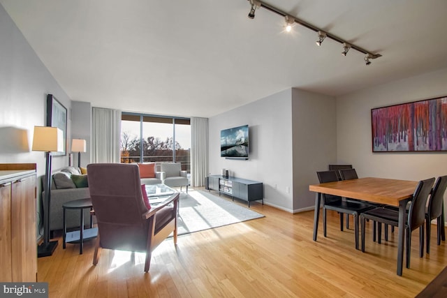 living room featuring track lighting and light wood-type flooring