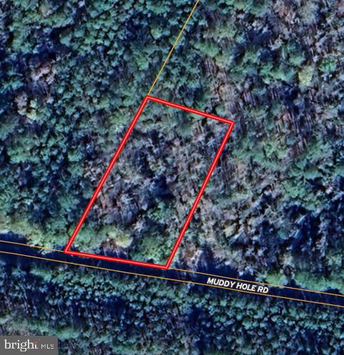 0 Muddy Hole Rd, Tyaskin, MD 21865