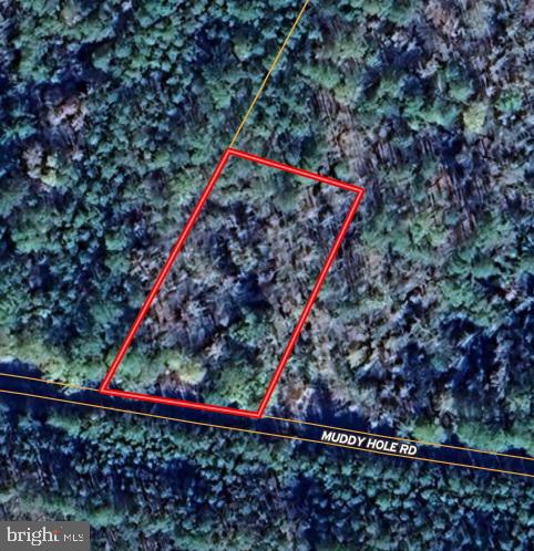 0 Muddy Hole Rd, Tyaskin MD, 21865 land for sale