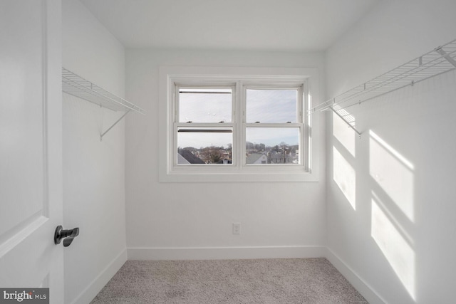 walk in closet featuring carpet flooring